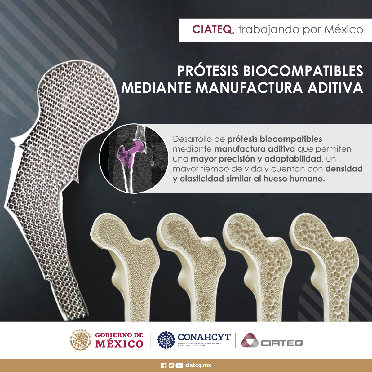 protesis-biocompatibles-01